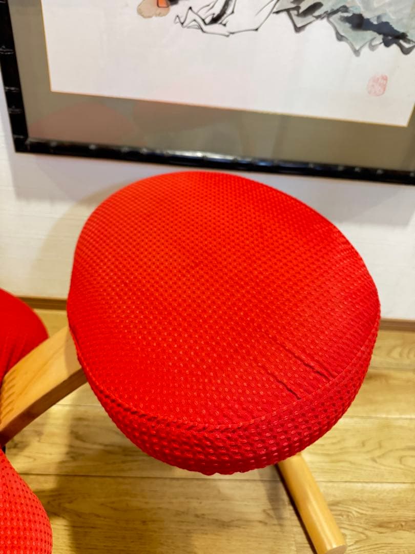 Rybo BalansEASY バランスチェア 金ロゴ 専用カバー付き 姿勢矯正