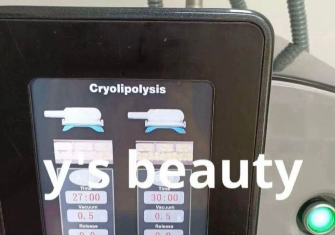 360度　脂肪冷却　強いパワー　業務用　同時稼働