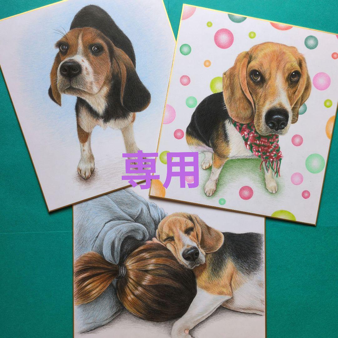 ☆麻衣☆です♪ 色鉛筆画 ３枚