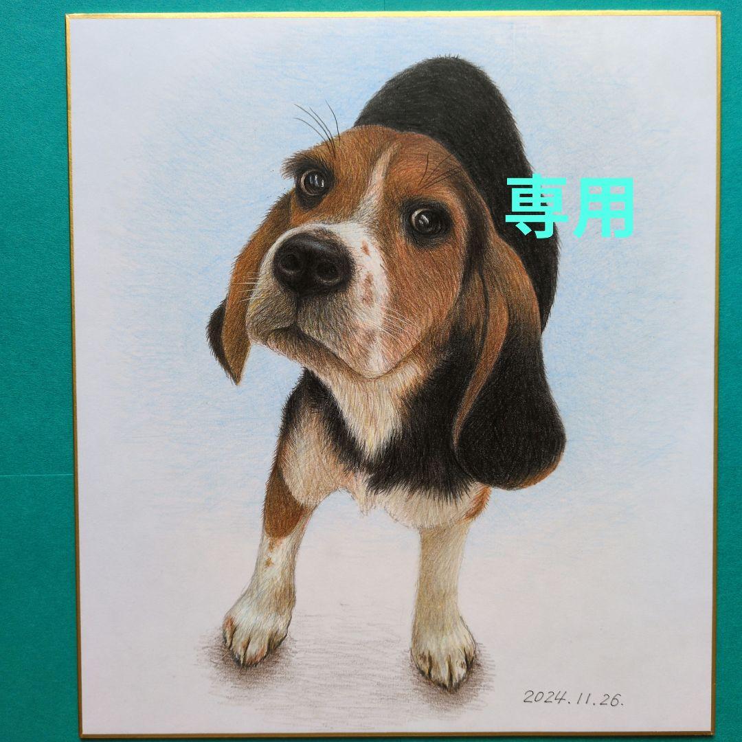 ☆麻衣☆です♪ 色鉛筆画 ３枚