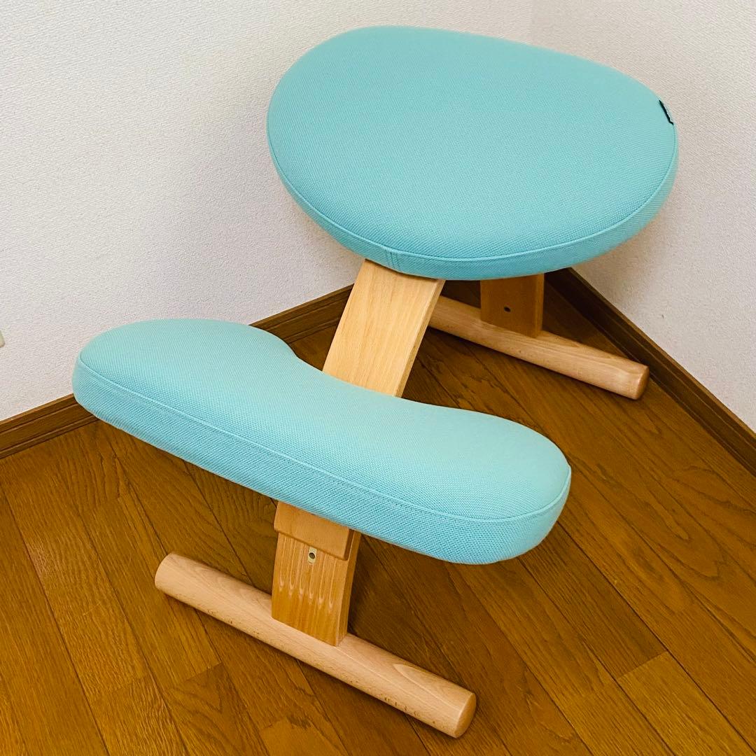 サカモトハウス バランス　チェア イージー balance easy 姿勢矯正