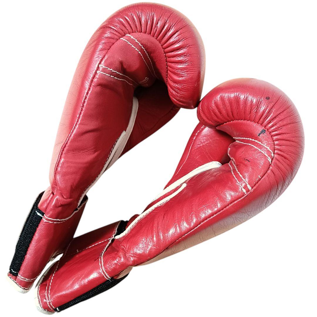 Winning　ウイニング　ボクシンググローブ　10オンス　 マジックテープ式