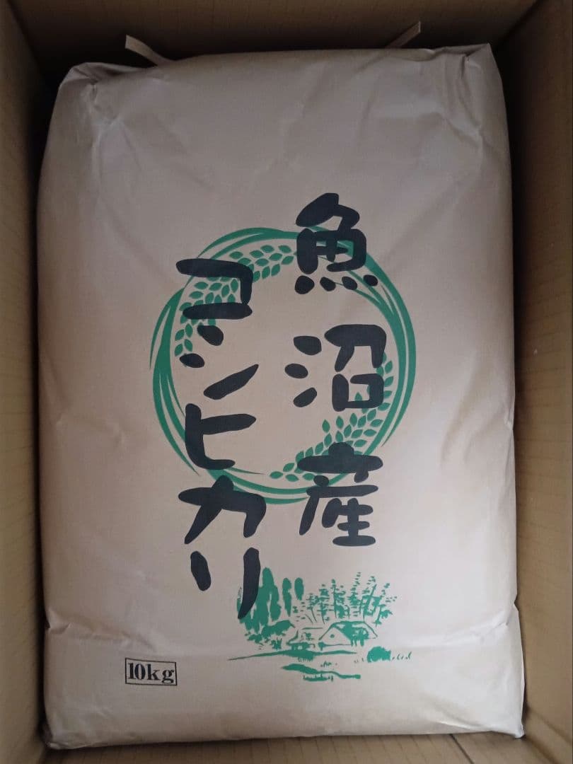 お米　魚沼産コシヒカリ　10キロ 令和6年新米