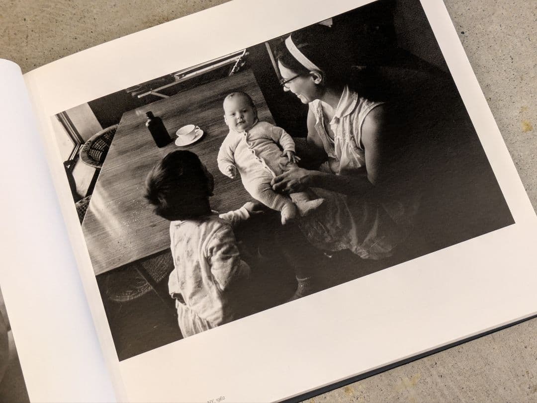 【新品】Family in the Picture / リー・フリードランダー