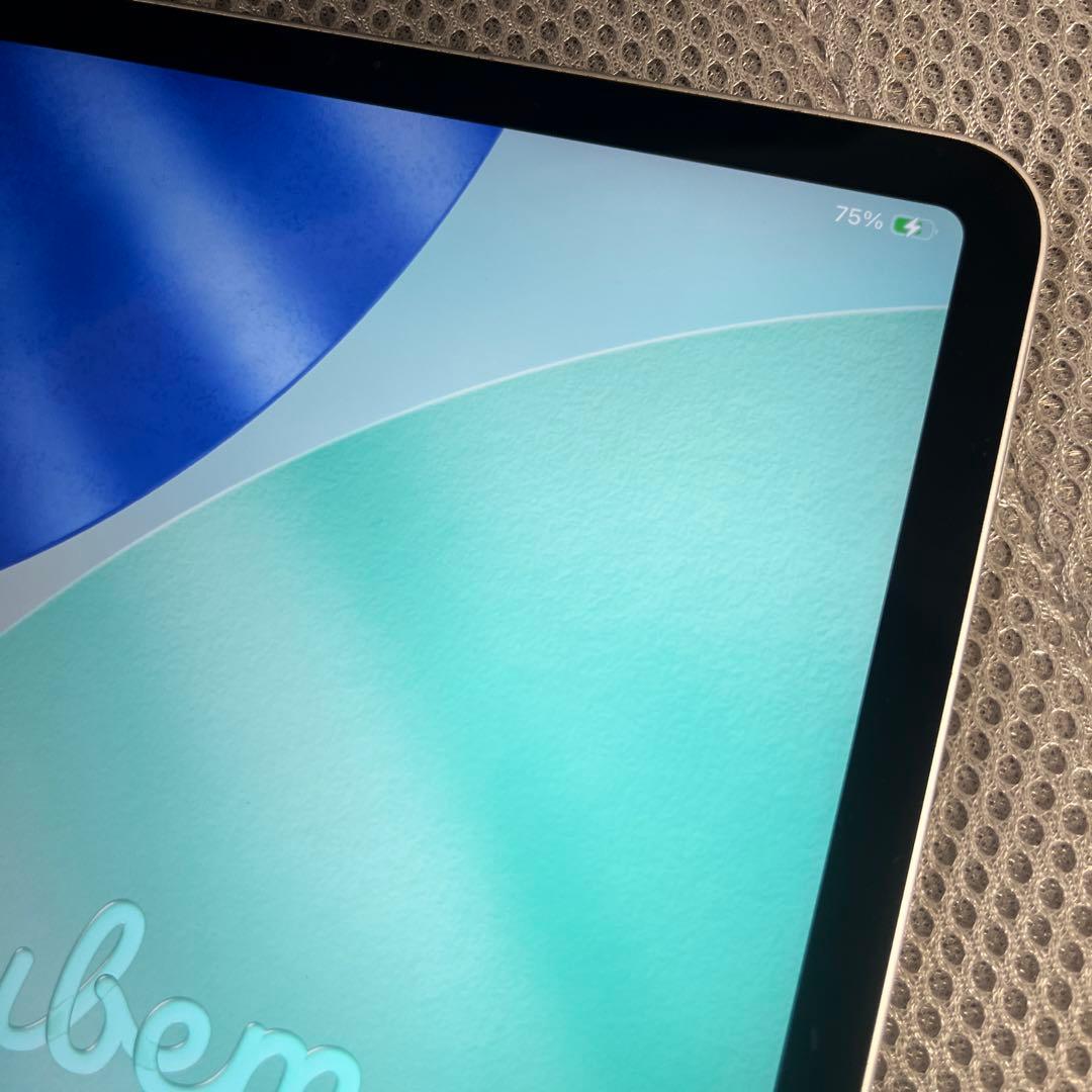 Apple iPad Pro 11インチ 第4世代 Wi-Fi 訳あり