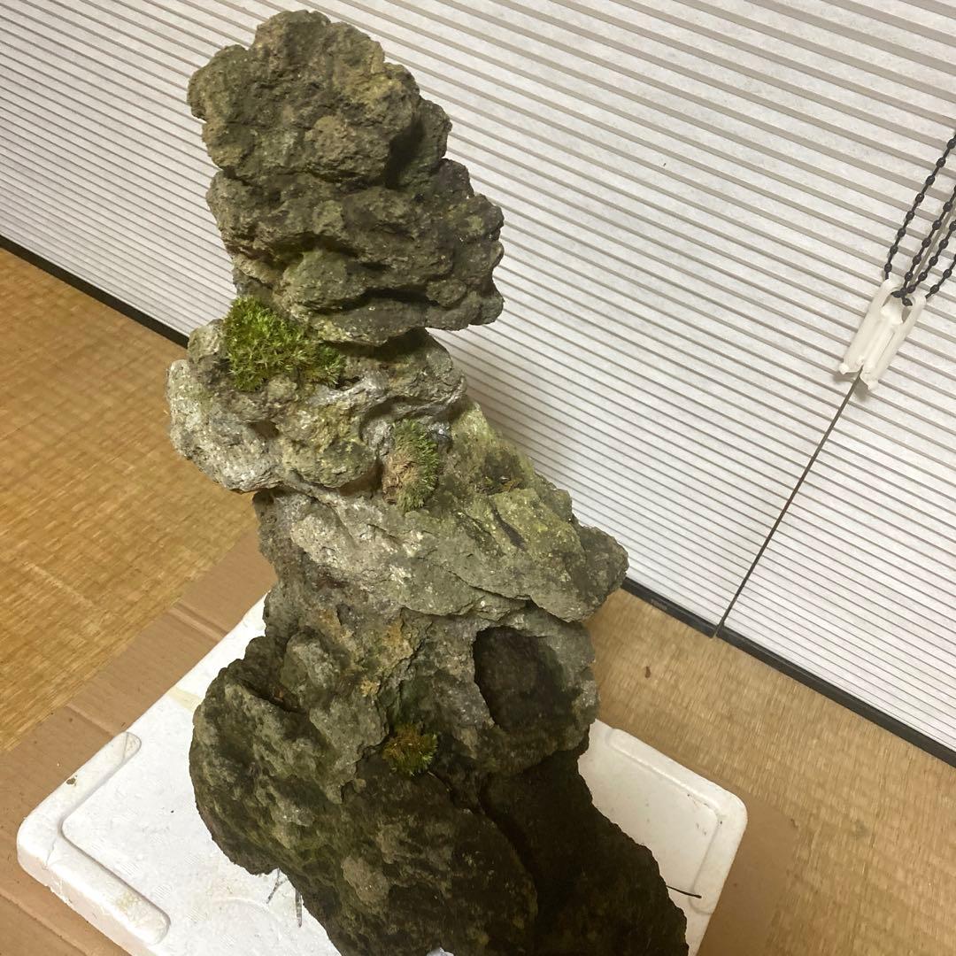 【美形】軽石　岩石　水槽　装飾 アクアリウム　NO3