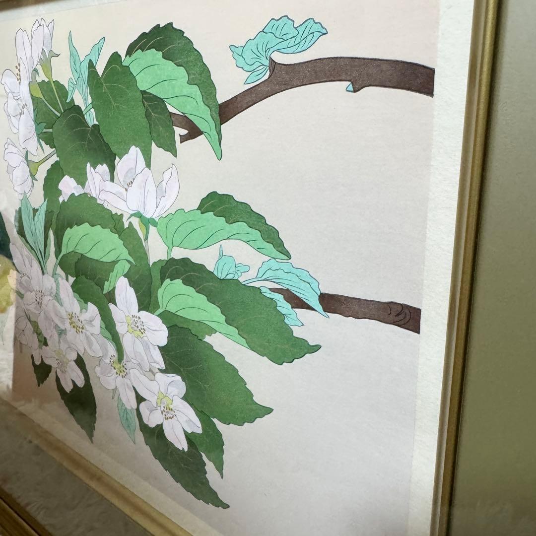 【美品】中島千波 木版画 りんごの春 額装 サイン入り 箱付 限定200部