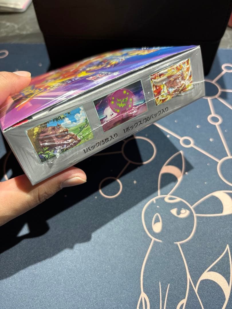 か*し様 購入制限有り⭐︎Xmas企画⭐︎熱風のアリーナ 新品未開封BOX（シュ