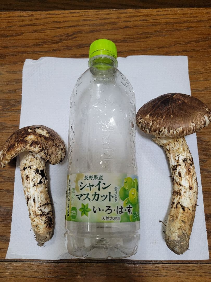 国産　岩手県産　松茸　220g