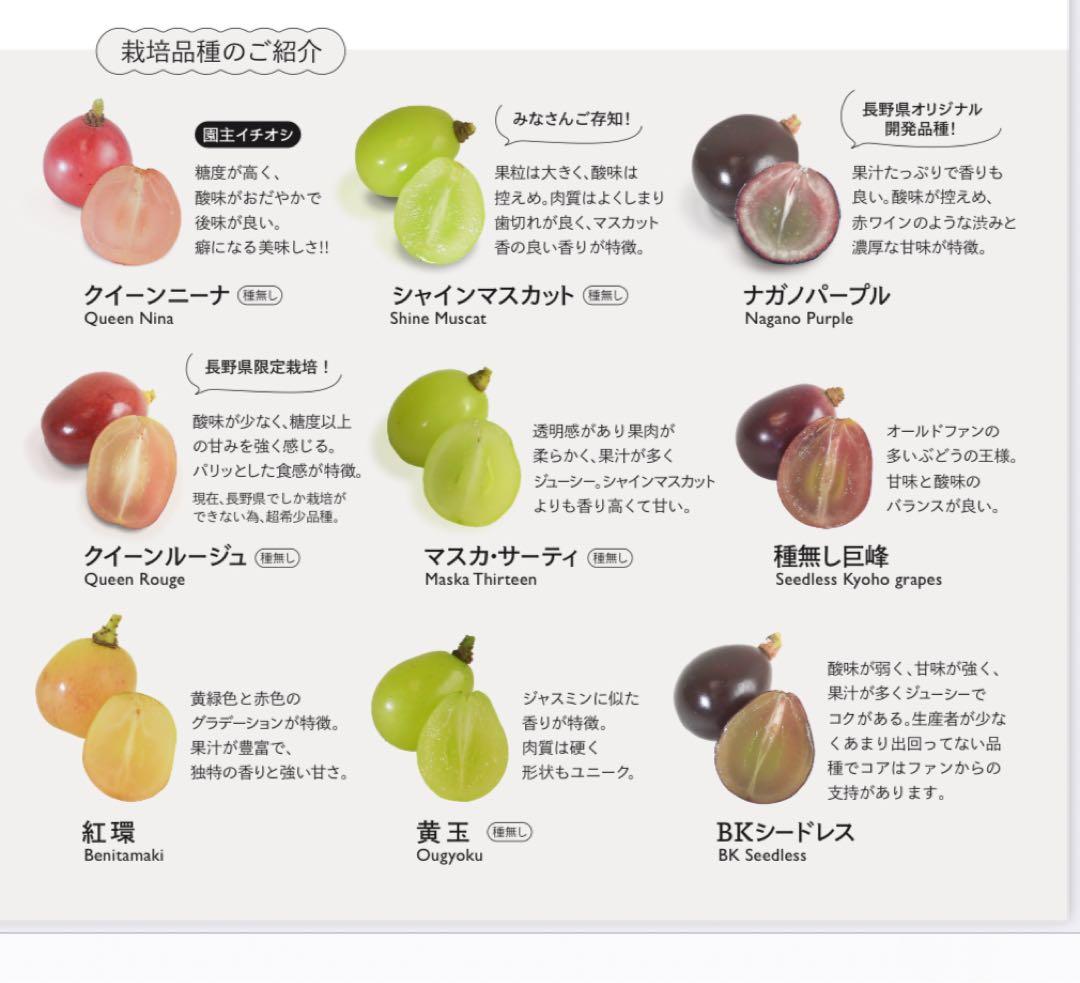 ☆シャインマスカット、種無し巨峰以外☆4kg玉手箱