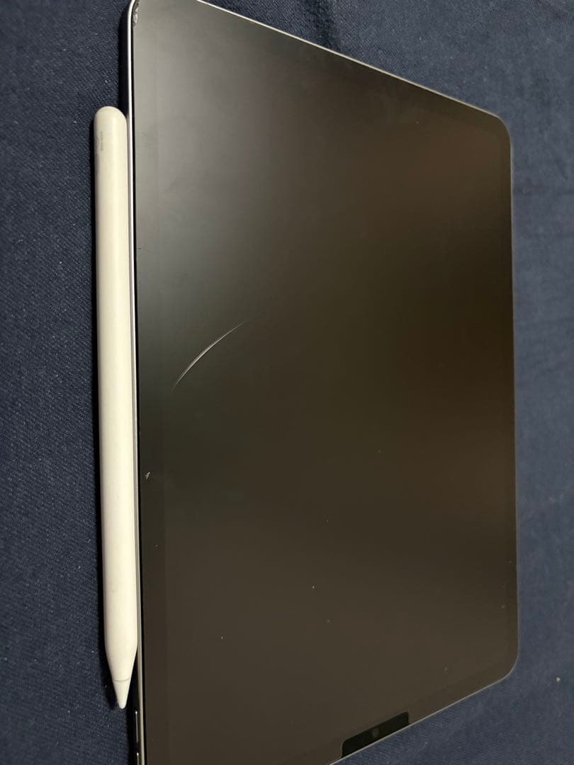 iPad Pro 11インチ 4世代 256GB Apple Pencil付き