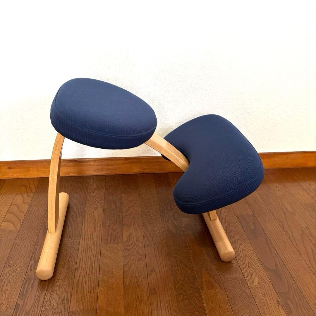 【美品】バランスイージー ネイビー 通常フレーム