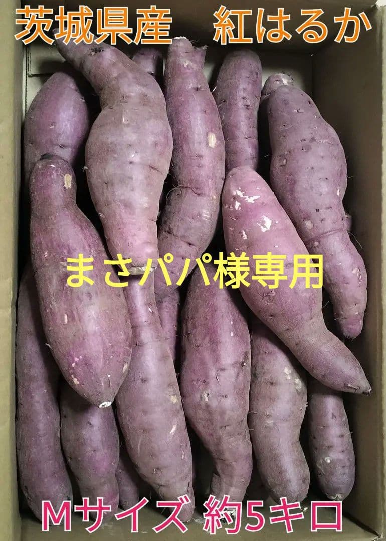 ■茨城県産■JA旭村■紅はるか■L、Mサイズ■各2ケース■