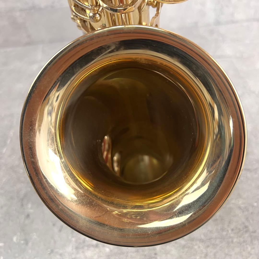 Mavis アルトサックス 彫刻あり 管楽器 セミハードケース メイビス