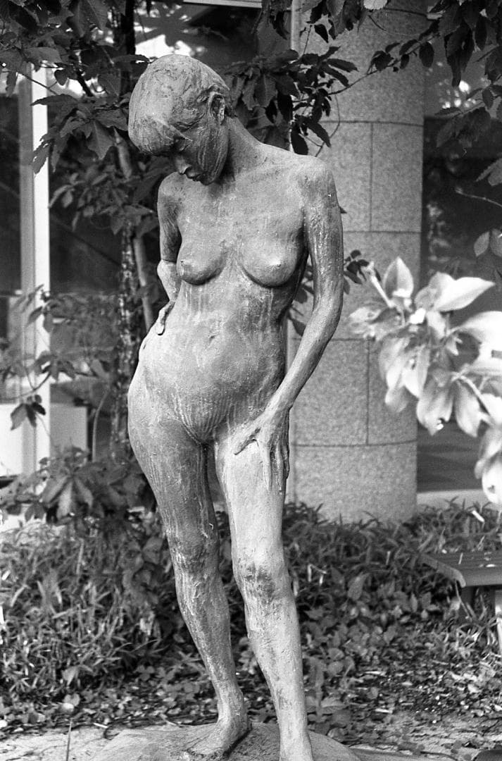 【整備済完動】Canon AE-1 PROGRAM+New FD 35-70mm