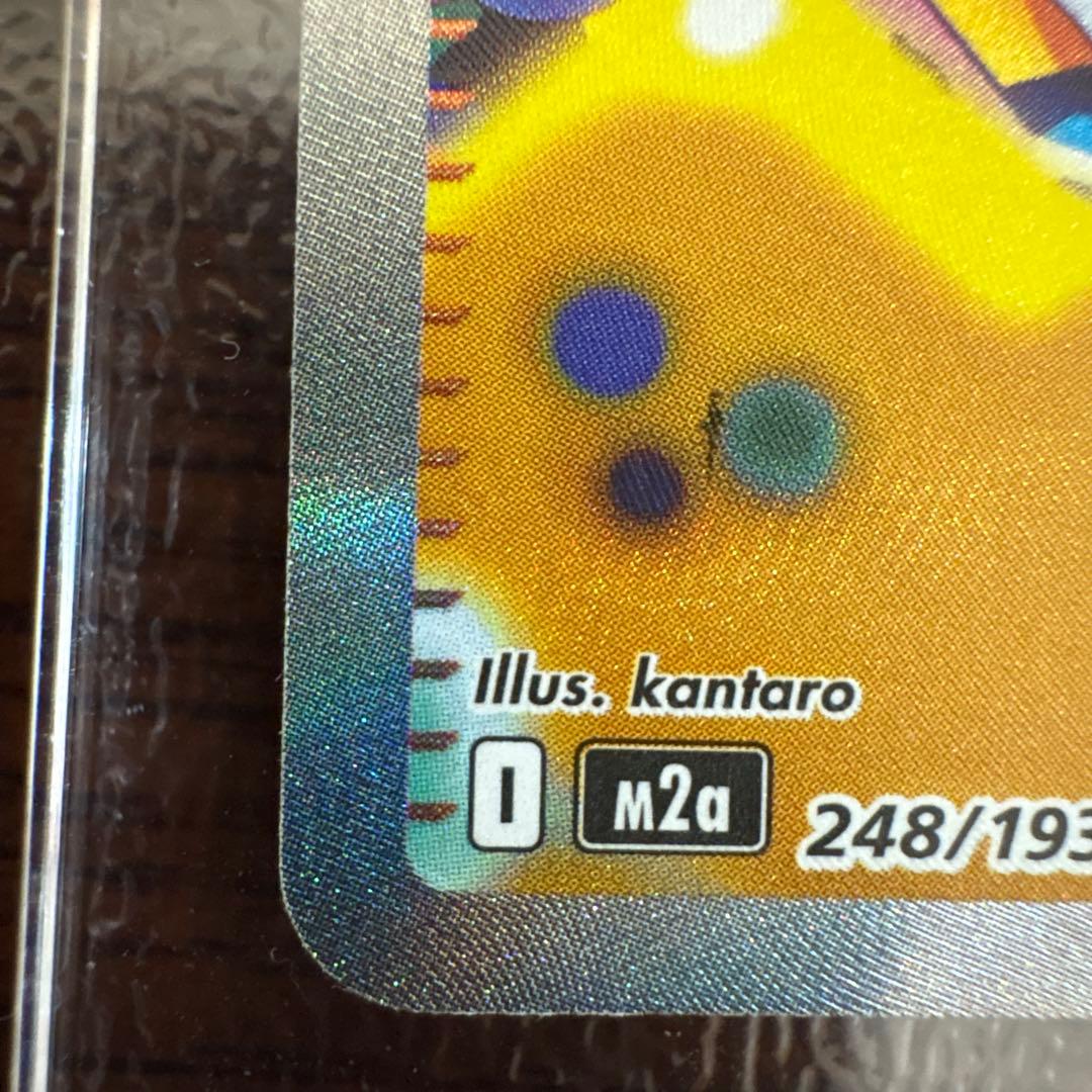 カナリィ　sar m2a 248/193