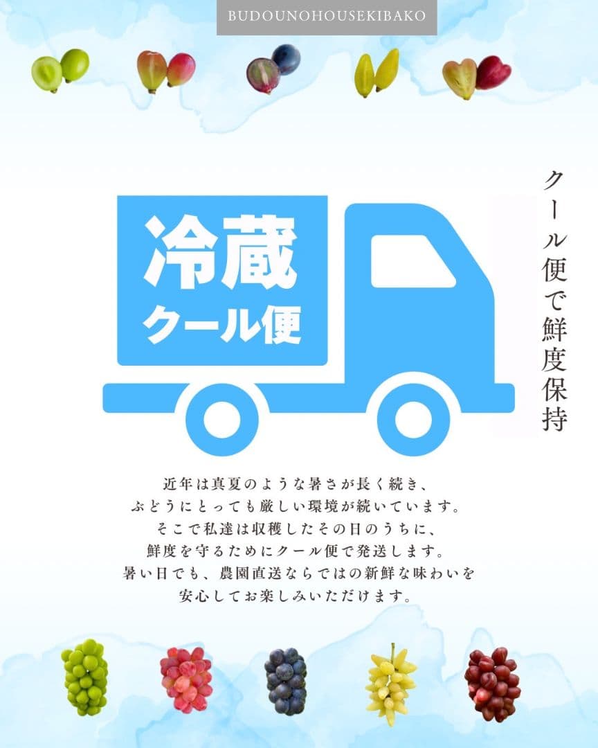 ④ grape Jewelry box　粒2kg