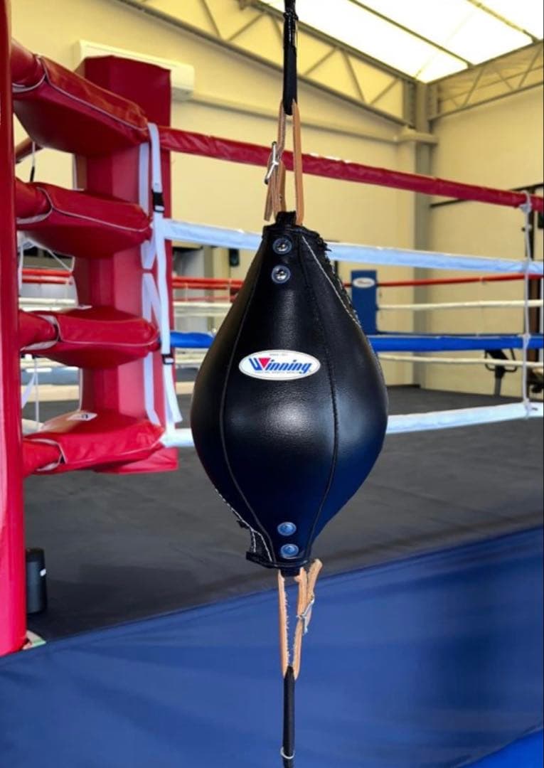 winningウイニングダブルエンドパンチングボール