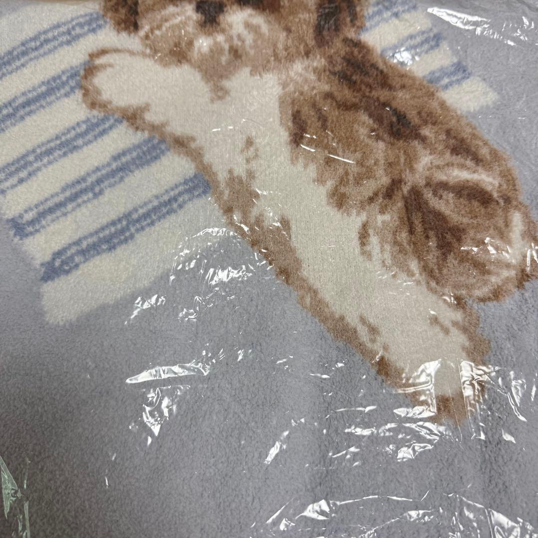 【新品未開封】ジェラートピケ シーズー ブランケット 毛布