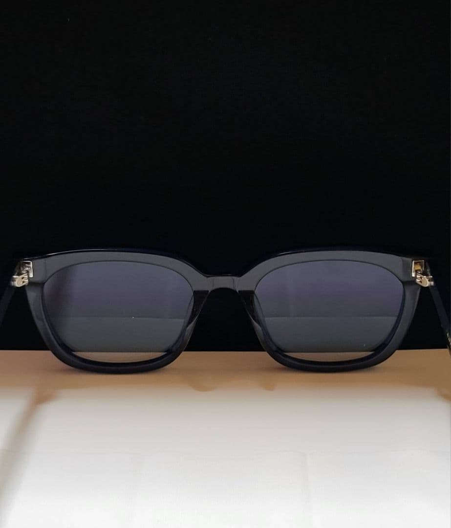 ◆GENTLE MONSTER◆サングラス　HEIZER ケース付き