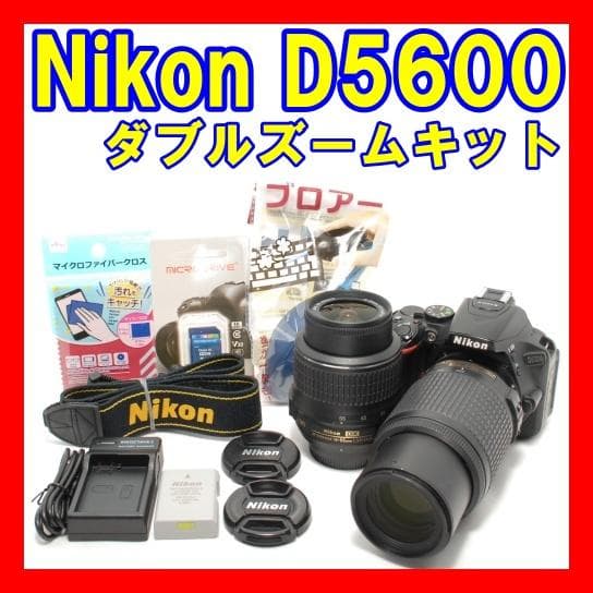 ☘️ショット数少なめ⭐美品☘️Nikon D5600 ダブルズームキット