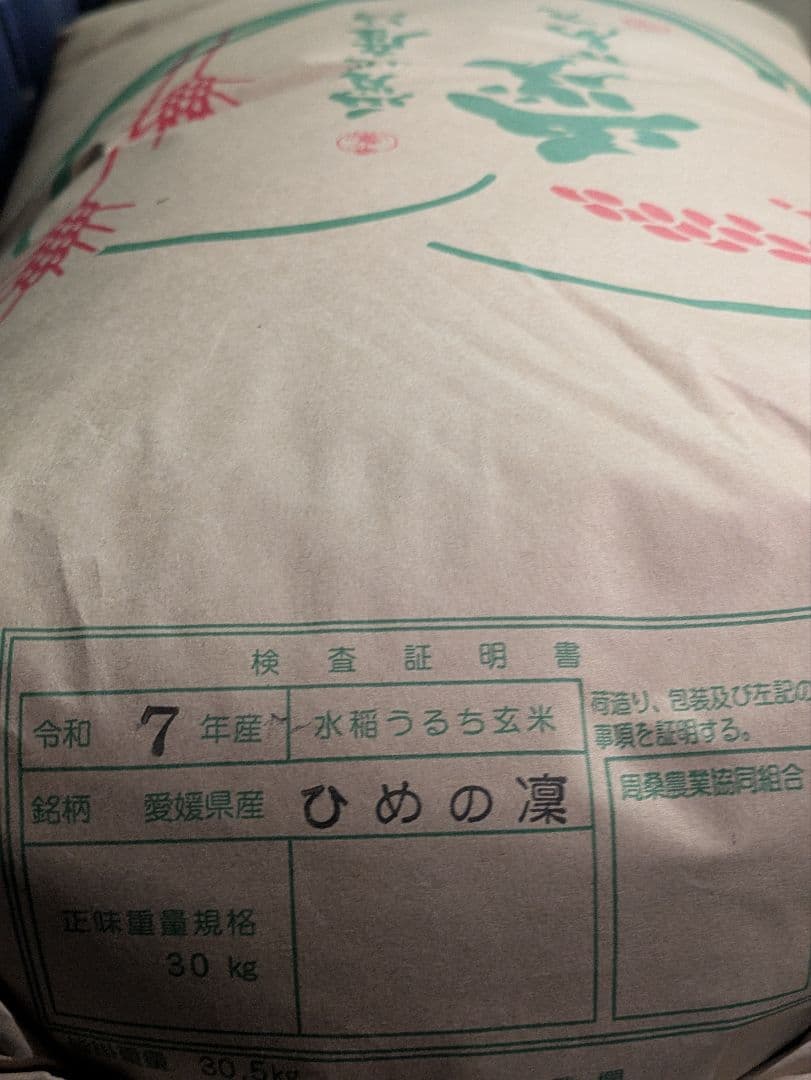 ひめの凜 　令和7年度 愛媛県産 玄米30キロ
