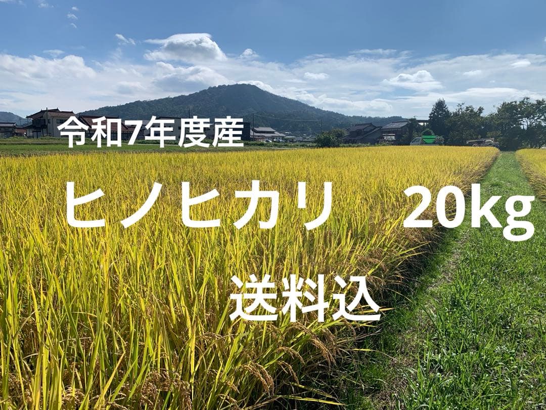 令和7年度産ヒノヒカリ20kg農家米のお米(玄米)送料込