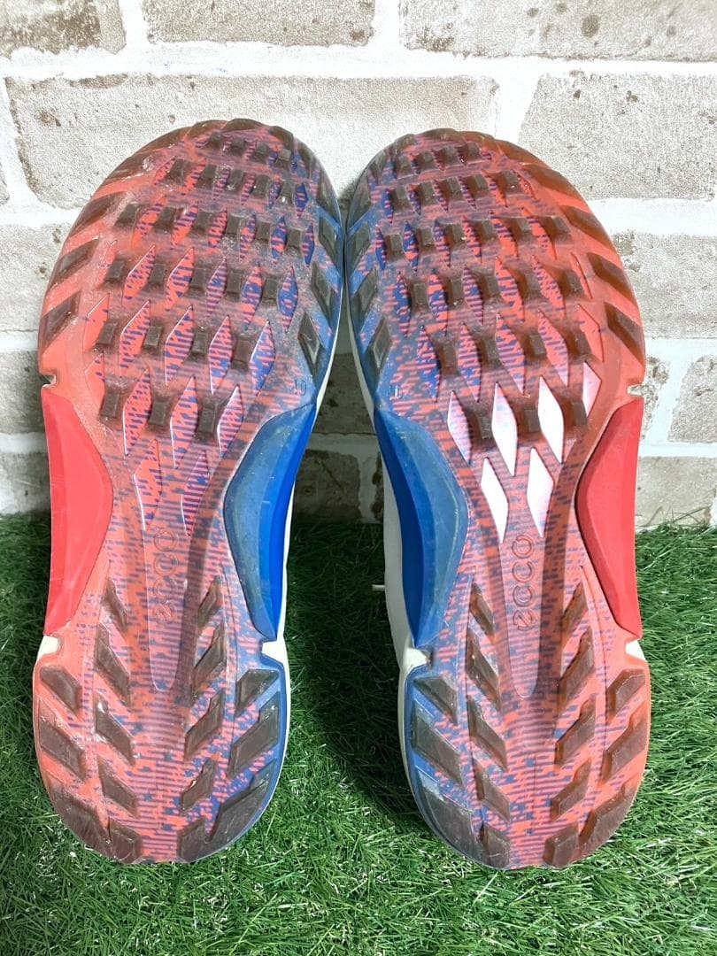 【ヨッシー】ecco エコーゴルフ biom H4 25.5cm