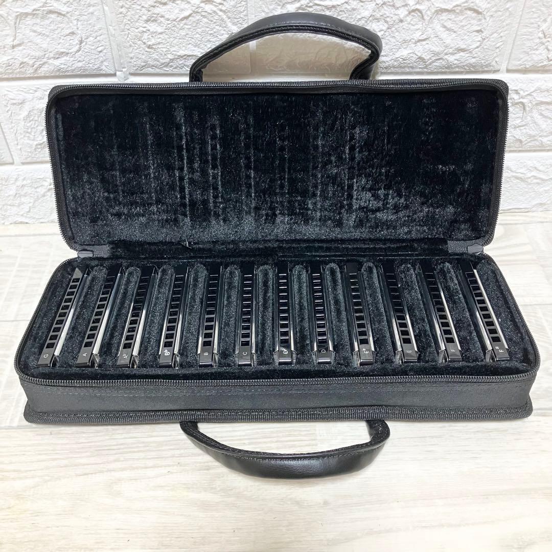 美品　トンボ　メジャーボーイ　ブルースハーモニカ　12種　12本 TOMBO