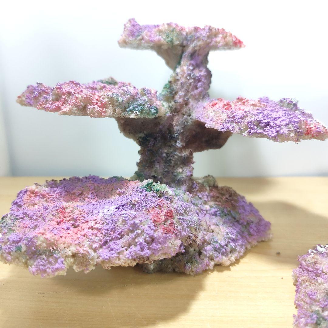 新品アク抜き不要 分離型人工ライブロック 60cm海水水槽用 レプリカ 多孔質2