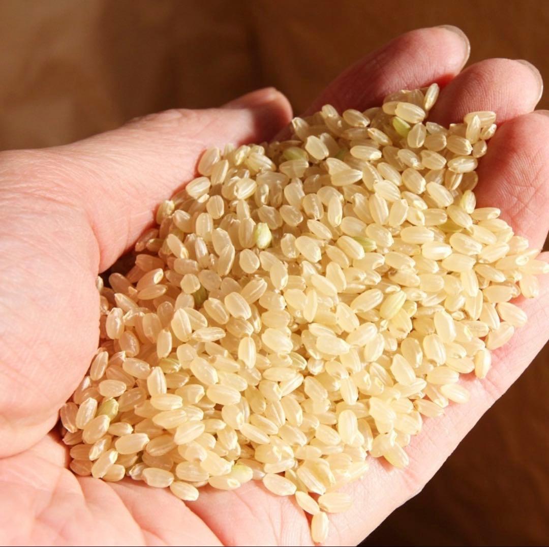 茨城県産 ミルキークイーン 新米 30kg