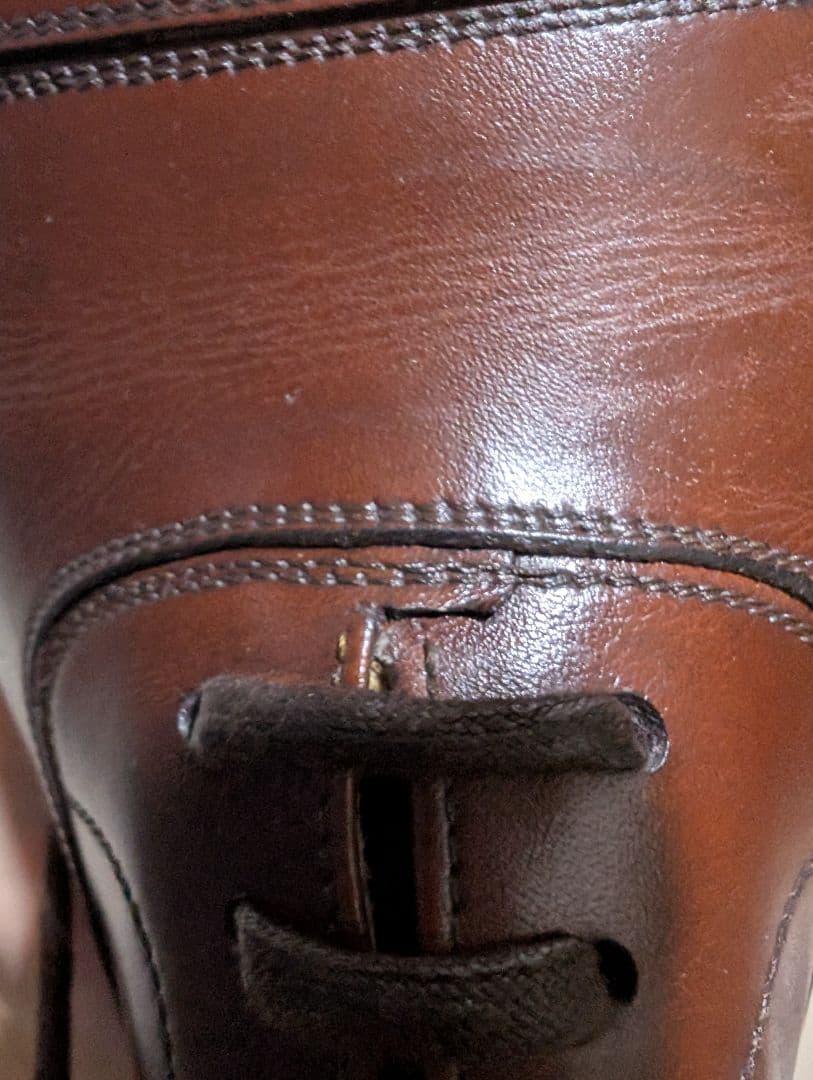 タニノクリスチー セミブローグ 5 1/2