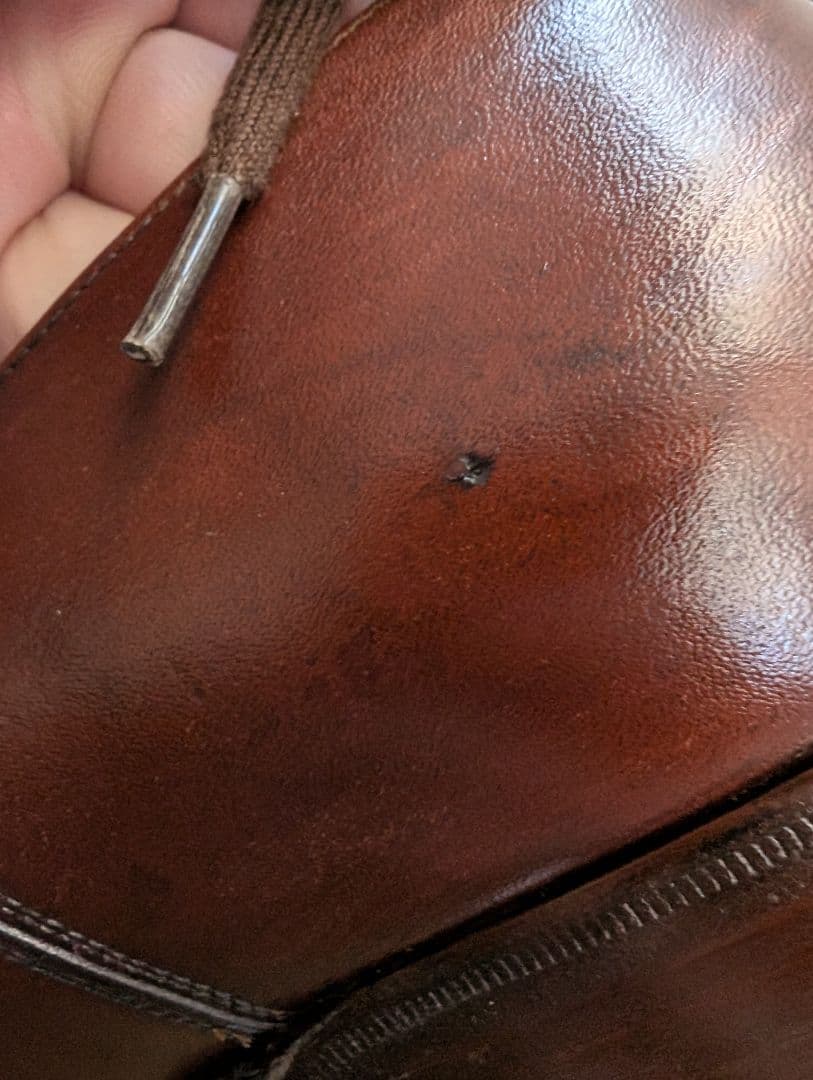 タニノクリスチー セミブローグ 5 1/2