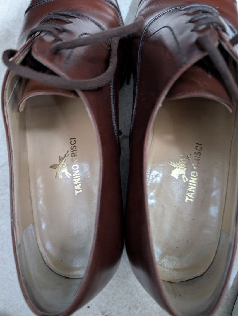 タニノクリスチー セミブローグ 5 1/2