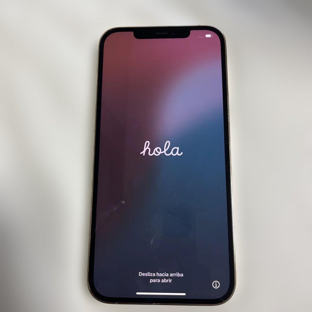 Apple iPhone 12 本体