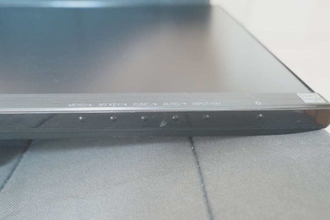 LG ディスプレイ モニター