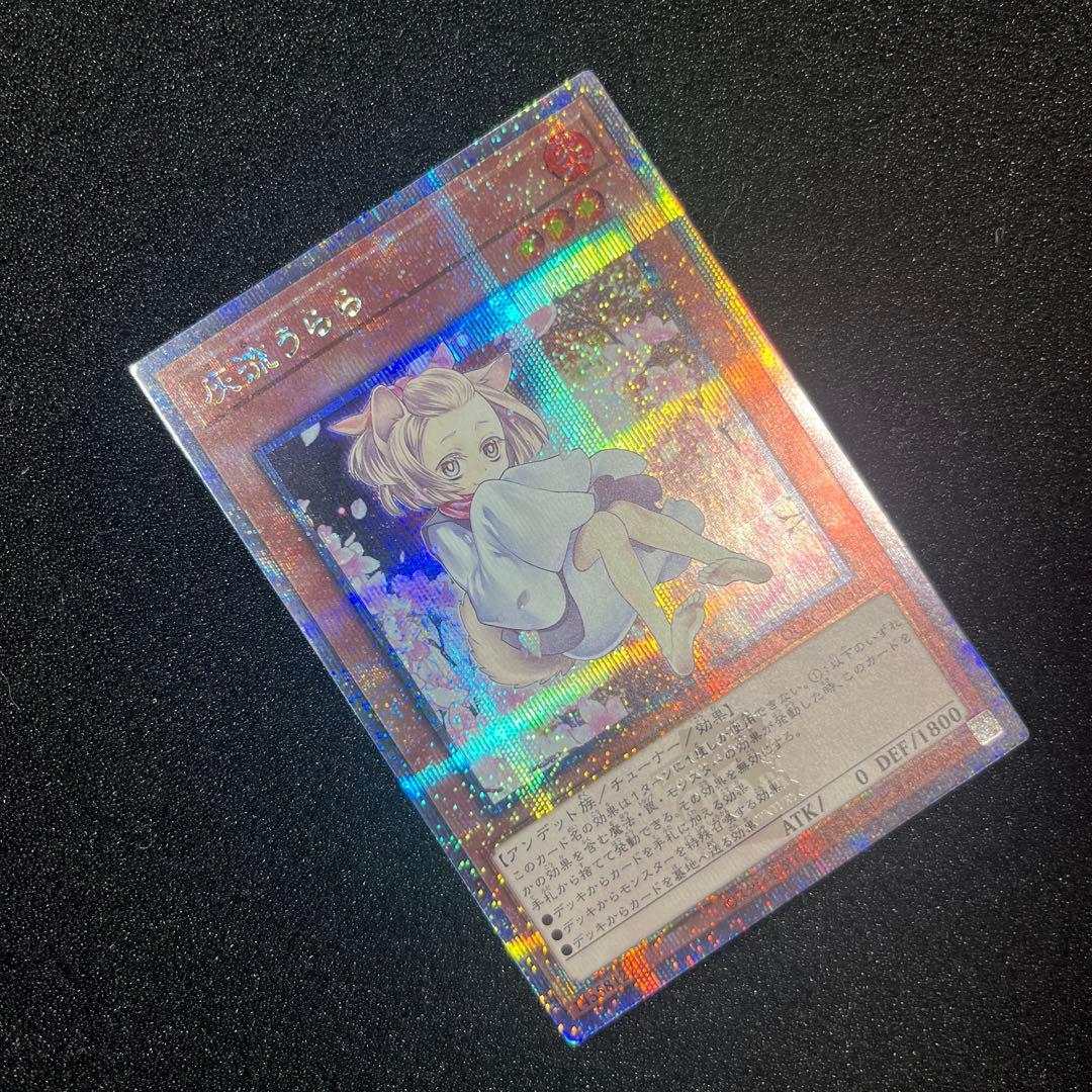 美品　灰流うらら　25th 絵違い