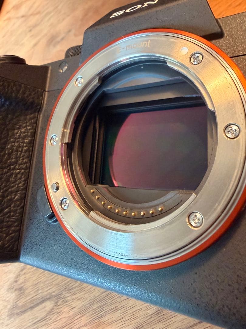 ショット数4749回 Sony α7III