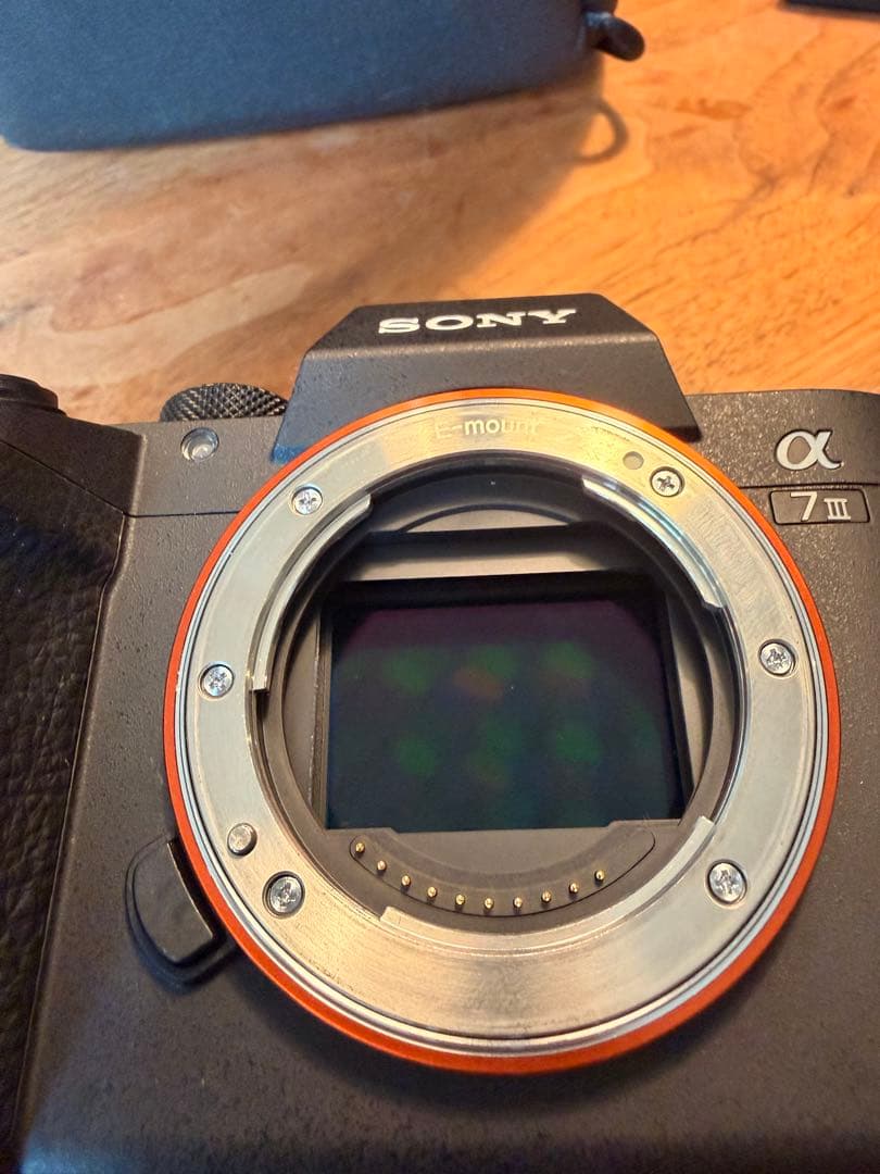 ショット数4749回 Sony α7III