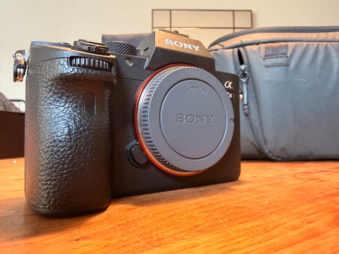 ショット数4749回 Sony α7III