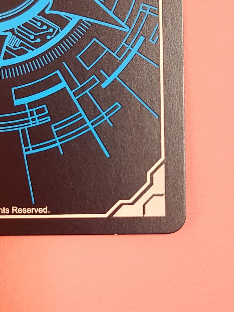 ヴァンガード スノウスキップ パルヴィ LSR