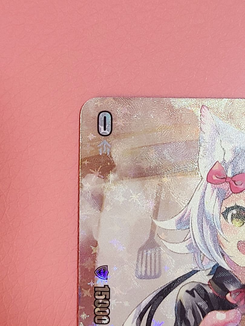 ヴァンガード スノウスキップ パルヴィ LSR