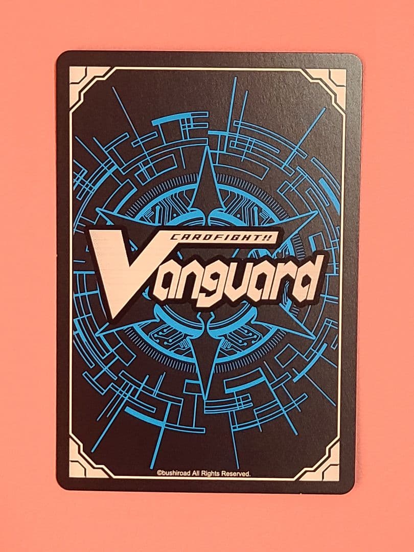 ヴァンガード スノウスキップ パルヴィ LSR