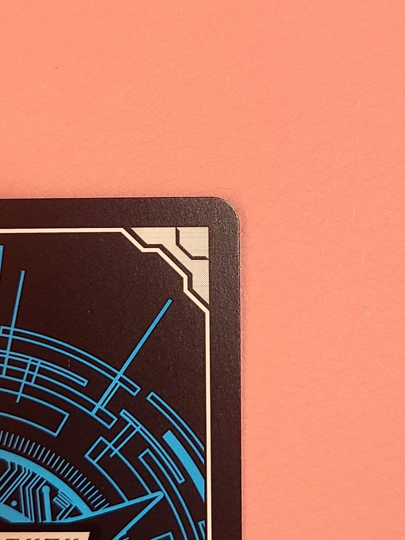 ヴァンガード スノウスキップ パルヴィ LSR