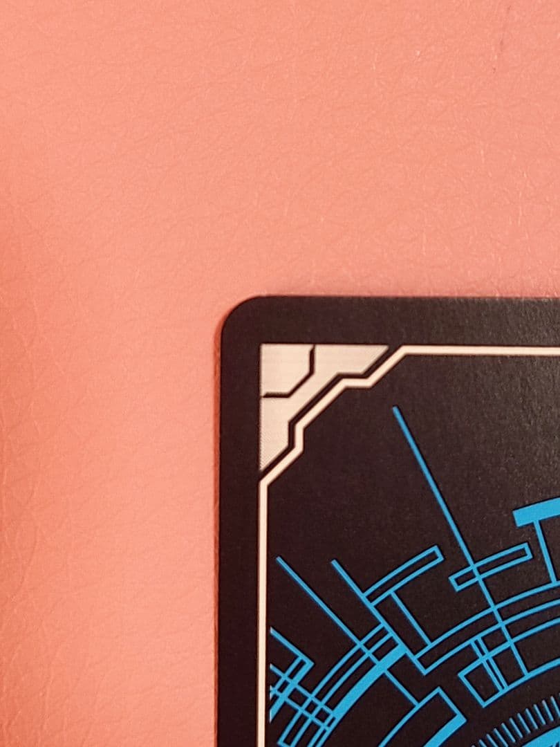 ヴァンガード スノウスキップ パルヴィ LSR