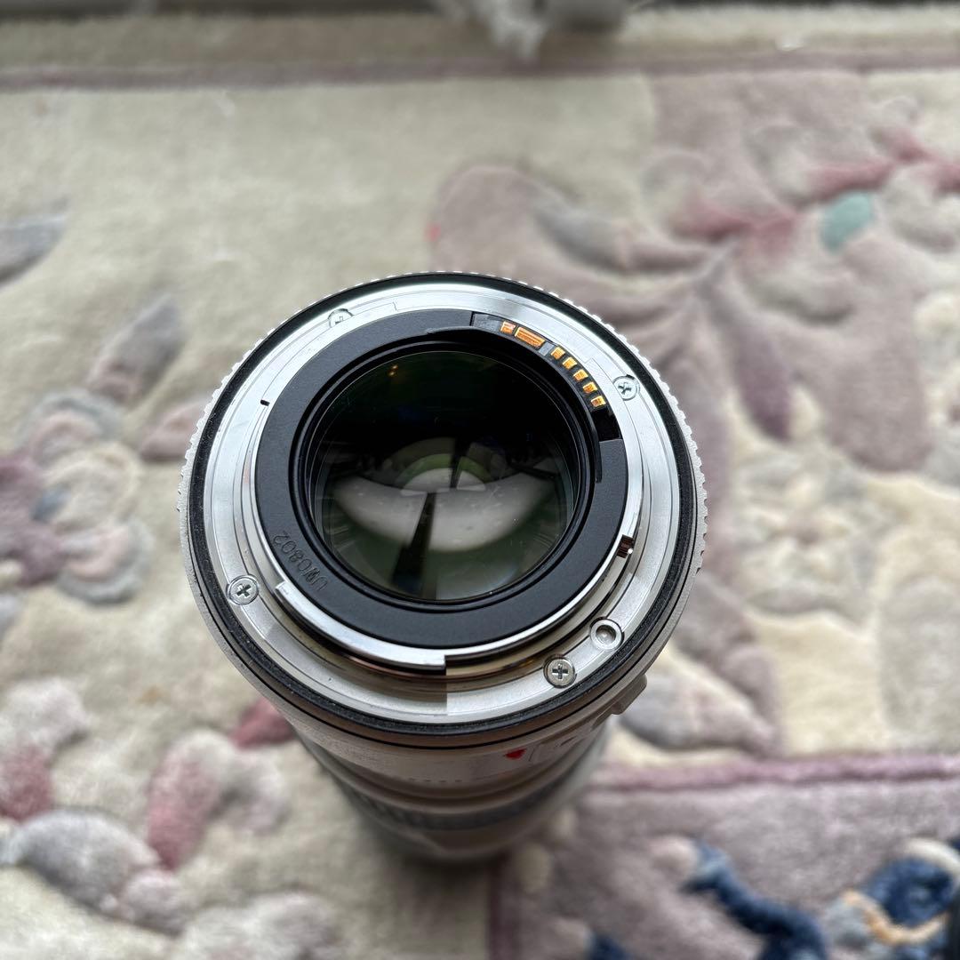 Canon EF 70-200mm f/4L IS USMとエクステンダー