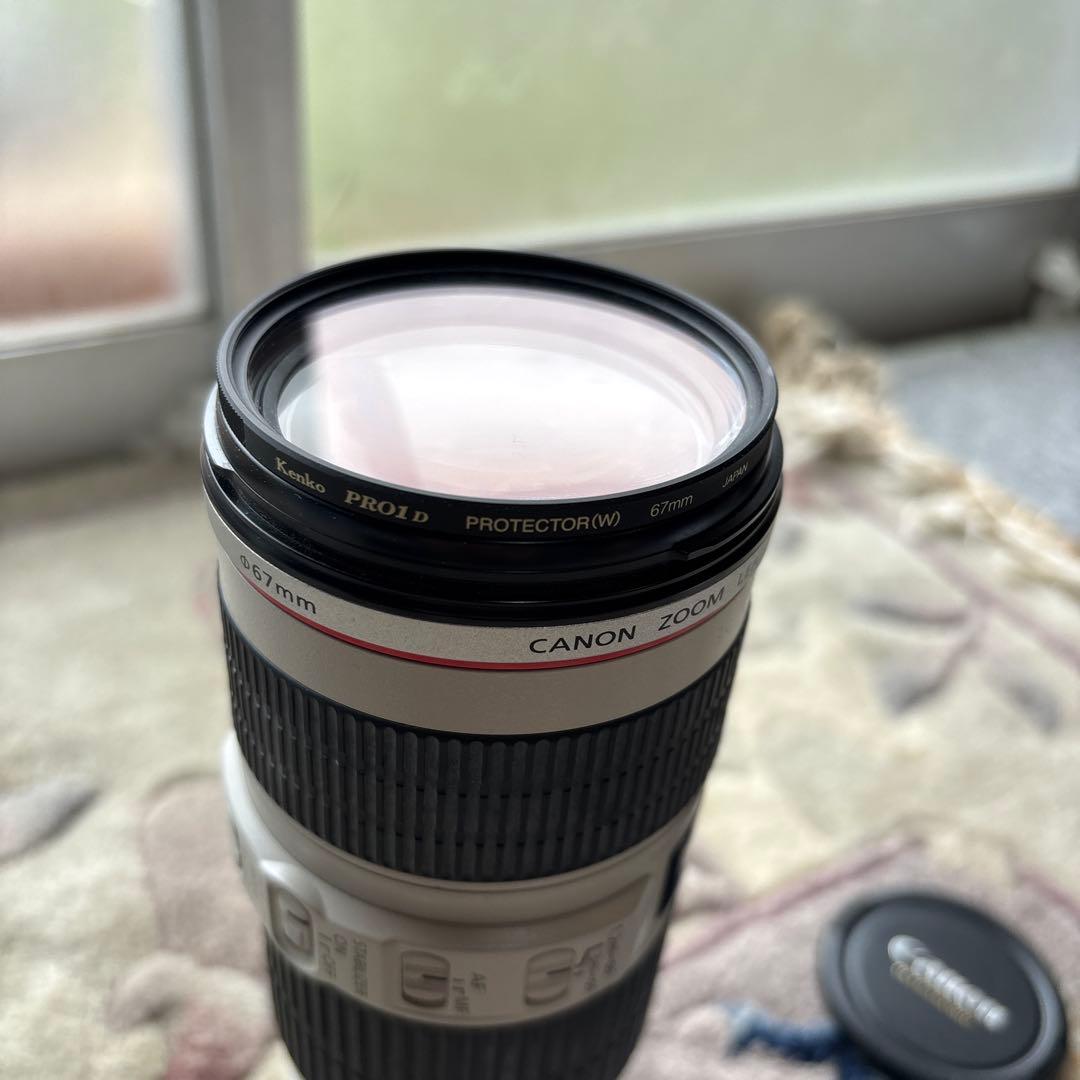 Canon EF 70-200mm f/4L IS USMとエクステンダー