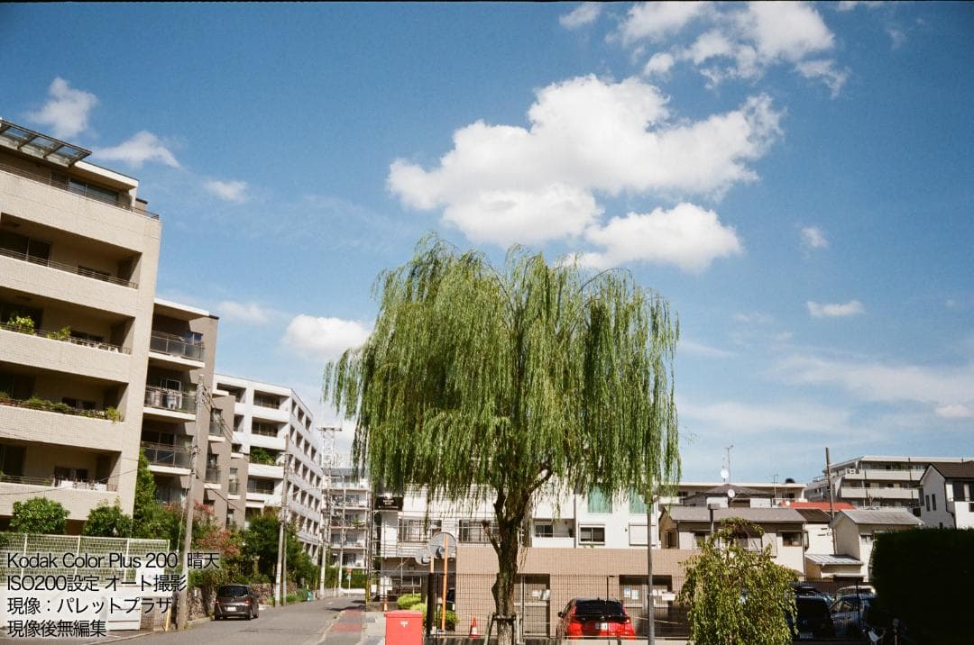 YASHICA ELECTRO35 CCN WIDE【完動品】