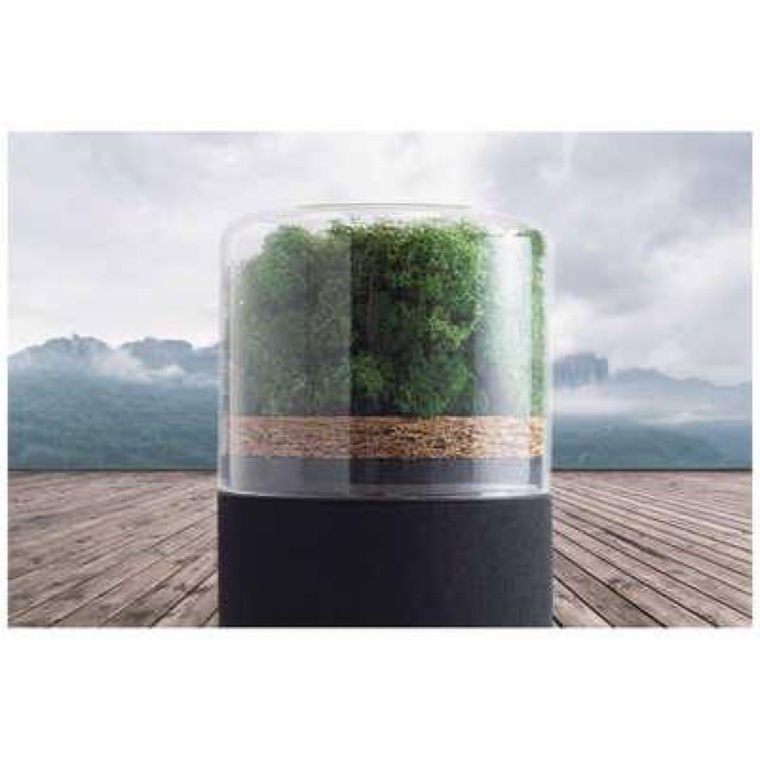 skuuu　briiv 空気清浄機 英国発 自然派エコ BV0001