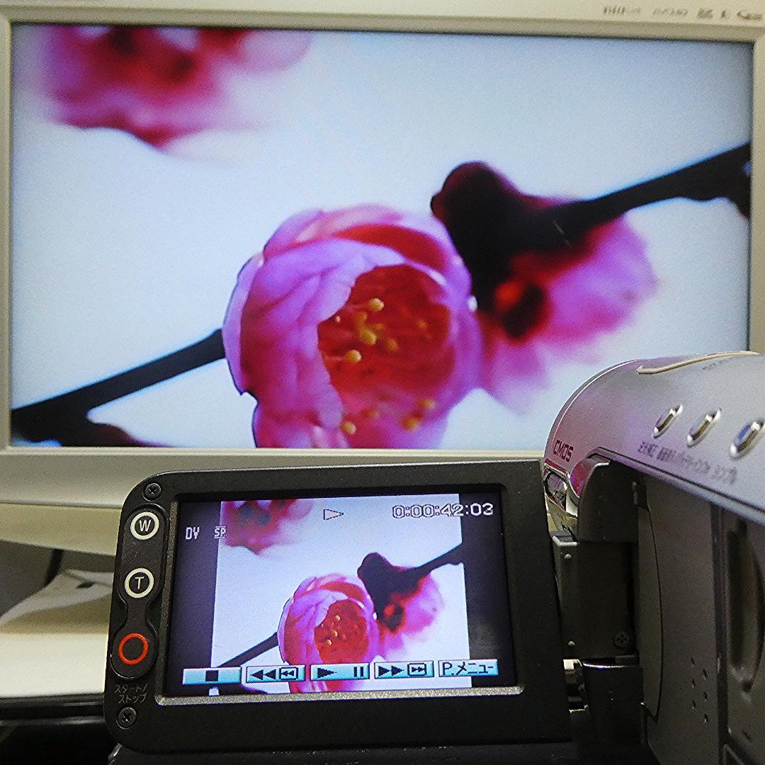 美品・動作品ソニー HDR-HC3 HDVビデオカメラ　DVDダビングに最適